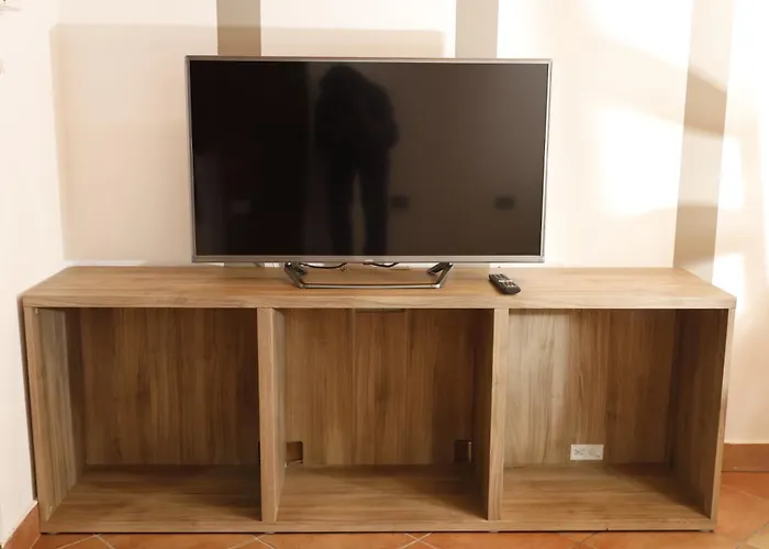 Amira Suite Fiera