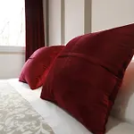 Amira Suite Fiera